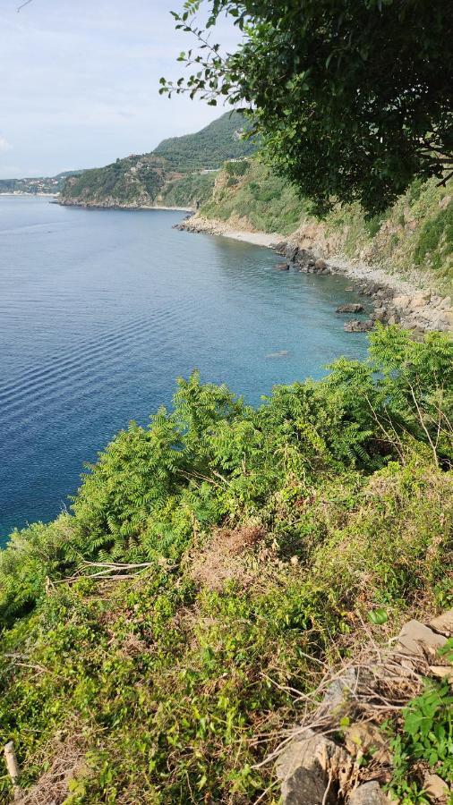 La Terrazza Di Rovaglioso Lägenhet Palmi Exteriör bild