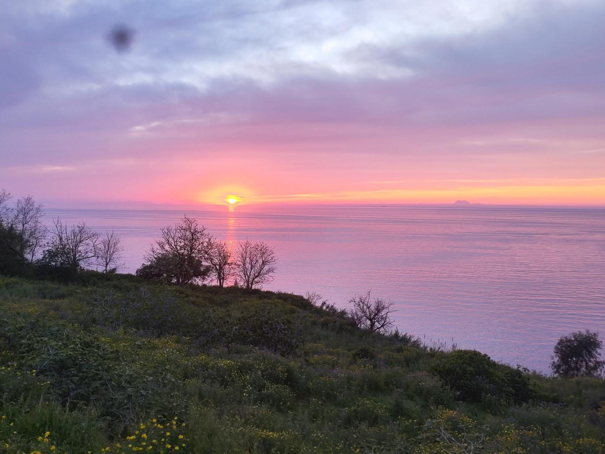 La Terrazza Di Rovaglioso Lägenhet Palmi Rum bild